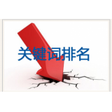 茌平网站关键词排名下降原因有哪些