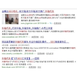茌平朱安安：SEO外链代发行业大揭密